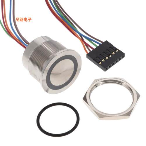 AVP22MS16FE0DT5A04 -[全新SWITCH PUSHBUTTON SPST-NO