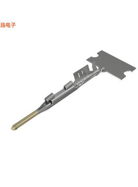 10155449-311LF -[全新MICROSPACE CTW MALE-10155449]