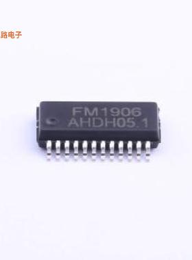 FM1906 -[13*4点阵LCD驱动ICSSOP-24-150milLCD驱动