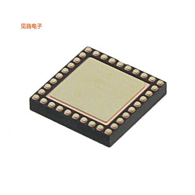 DSPIC33FJ09GS302-I/TL -[全新IC MCU 16BIT 9KB FLASH 36VTLA]