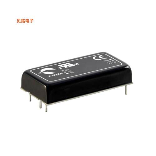 RED60-24S15W -[全新DC DC CONVERTER 15V 60W]