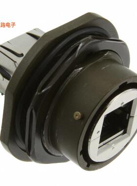 RJF67SA1G -原装[CONN MOD COUPLER 8P8C TO 8P8C插孔，8p