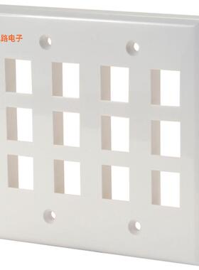 DGA63171 -[全新DIGIWAVE KEYSTONE WALL PLATE  12]