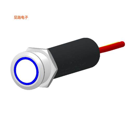 AVH-00000001 -[全新SWITCH PB ANTI-VANDAL 20A 12VDC]