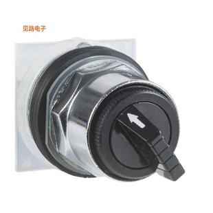 BODY SELECT NON 9001KS12FBH6 ILLUM 全新CONFIG