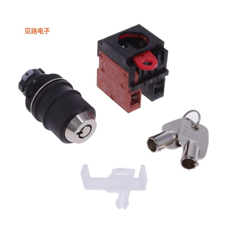 A22TK-2LR-11-K02 -[全新SWITCH KEYLCK 2POS DPST 10A 110V]
