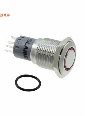 PV3F2H0SS-315 -原装[SWITCH PUSHBUTTON DPDT 2A 48V前面板安装