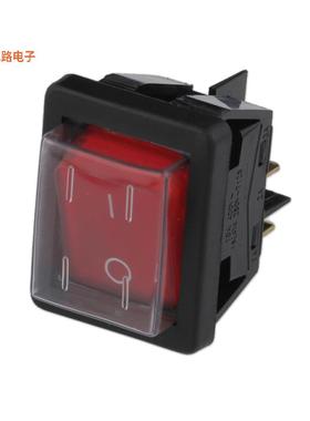 C6053ALGNR -[全新SWITCH ROCK ON-OFF ILLUM]