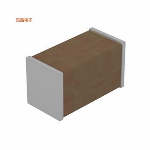 CER 0.47UF 16V 0402BW474K160NGT 04020.47 CAP X5R 原装