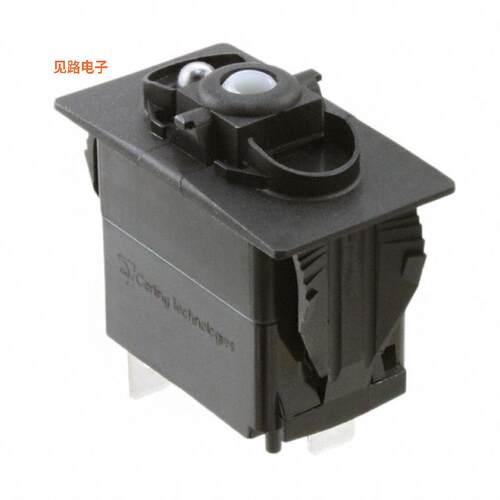 V2D1160B-00000-000 -[全新SWITCH ROCKER SPST-NO 20A 12V]