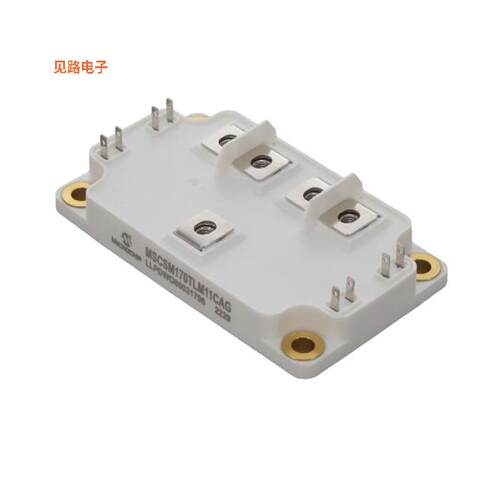 MSCSM120TLM11CAG -[全新MOSFET 4N-CH 1200V 251A SP6C]