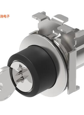 45-290H.4F00.111 -[全新CONFIG SW BODY KEYLOCK NON-ILLUM]