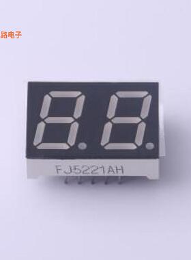 FJ5221AH 10PIN -[原装数码管插件