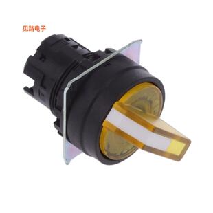 全新CONFIG BODY A22NZ ILLUM TYA SELECTOR 2BM