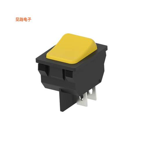 1634201-6 -[全新SWITCH ROCKER DPST 16A 125V]