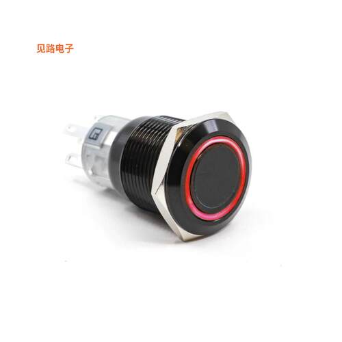 PV4F23011-314 -[全新SWITCH PUSHBUTTON SPDT 2A 24V]