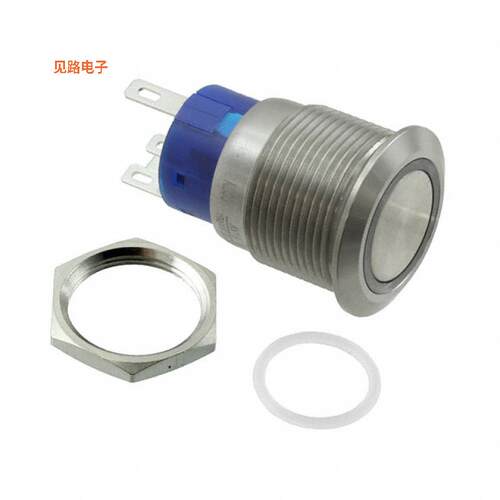 AV1920R112Q04 -[全新SWITCH PUSHBUTTON DPDT 3A 250V]