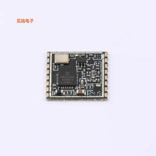 PAN3029S868N0S1 -[原装模块SMD,13.5x12mm