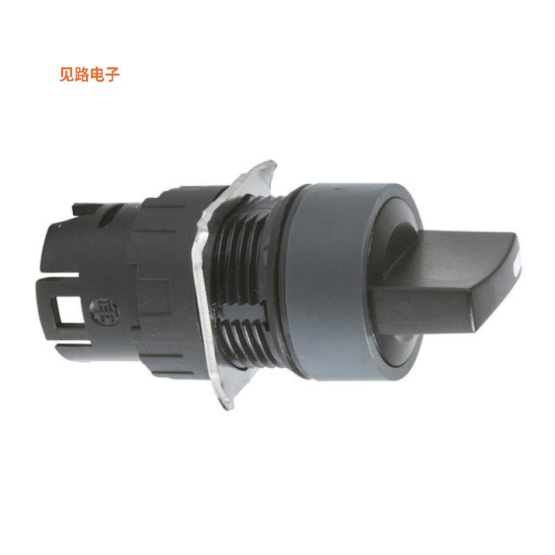 ZB6AD28 -[全新CONFIG SW BODY SELECT NON-ILLUM]