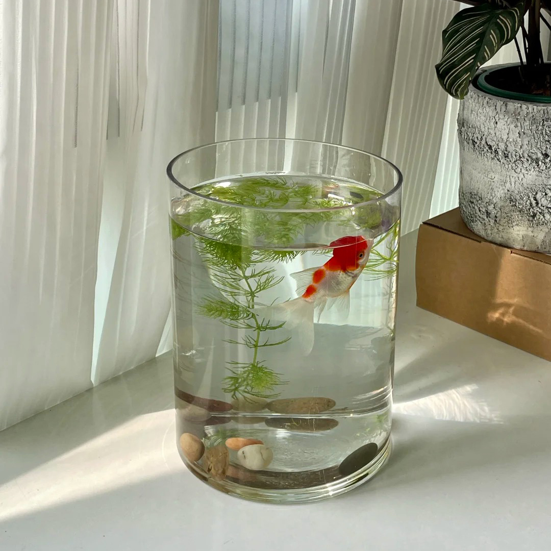 直筒圆柱形玻璃透明花瓶鱼缸