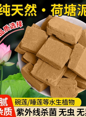 天然荷塘泥水培植物通用型淤泥睡莲碗莲专用30斤大包荷花土营养泥