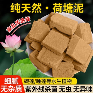天然荷塘泥水培植物通用型淤泥睡莲碗莲专用30斤大包荷花土营养泥