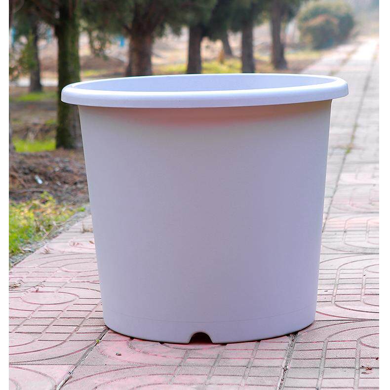 【顺丰包邮】小果汀30加仑果树爬藤简约控根盆沥水透气花盆抗氧化