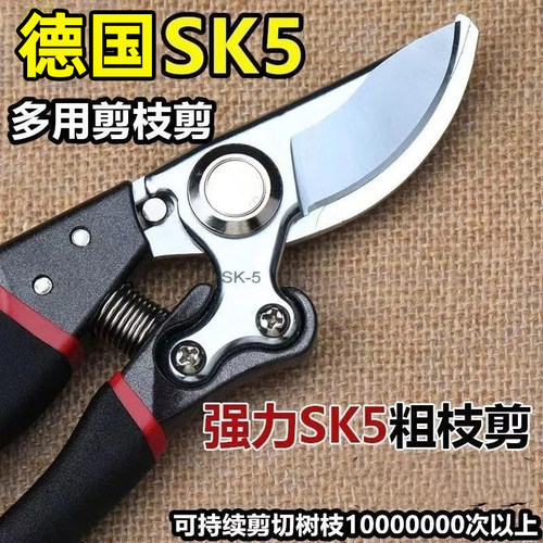 日本品质剪树枝专用剪刀园艺果树修枝剪sk5粗枝修花省力剪子园林