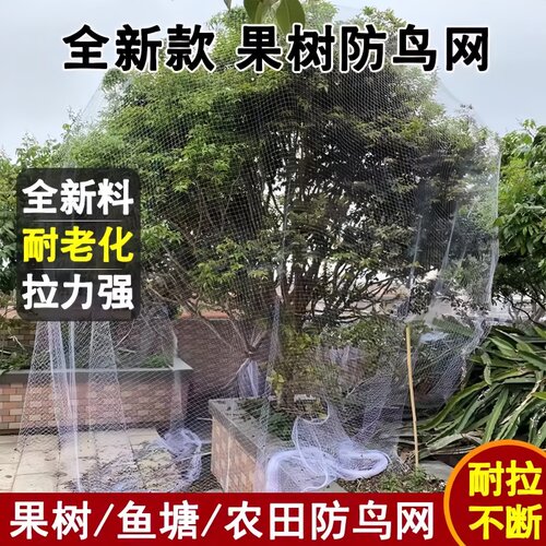 防鸟网果园大棚天网果树鸟防护网天沟网鱼塘防鸟网尼龙养殖网樱桃