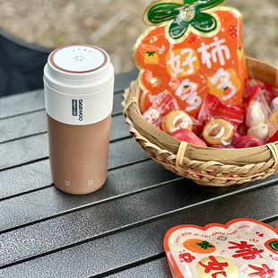 大宇便携式烧水壶电热加热水杯旅行电热水壶保温杯恒温水壶婴儿