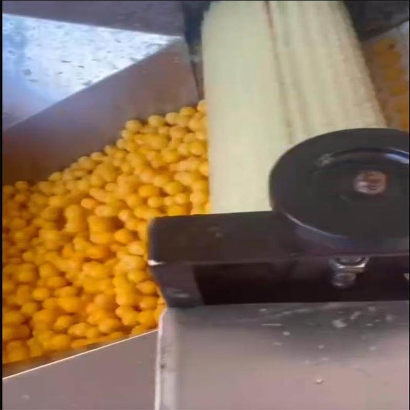 樱桃青梅捅核机油橄榄杏去芯开半机油柑果红枣去籽去核机去子机