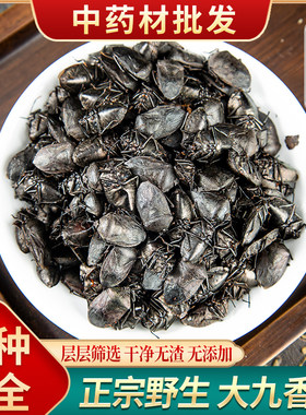 正宗野生九香虫打屁虫臭壳子虫