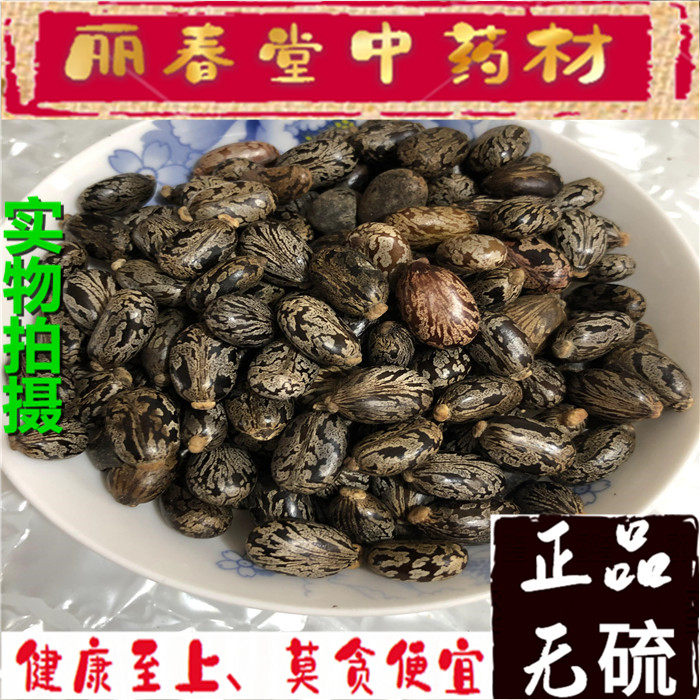 蓖麻子中药材 蓖麻种籽 蓖麻仁 新鲜干货 500克包邮在类目 传统滋补营养品, 药食同源食品, 其他药食同源食品中 - 来自Buy2taobao.com提供专业的淘宝代购服务