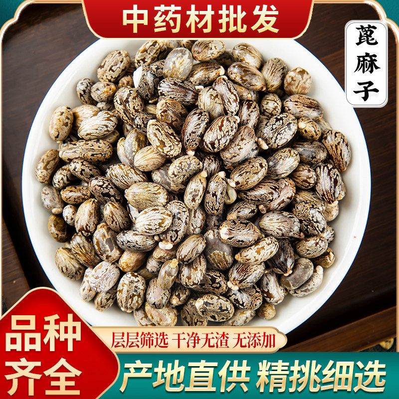 蓖麻子中药材500克 野生蓖麻籽种子油 新鲜 生蓖麻仁 非碾碎打粉