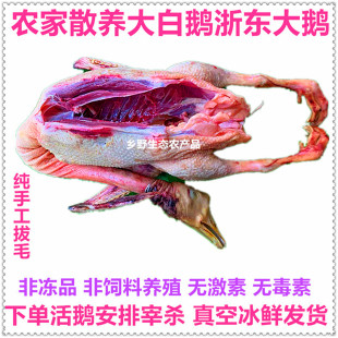 农家散养生态大白鹅浙东鹅粮食老鹅新鲜鹅肉生鲜现杀整只真空包邮