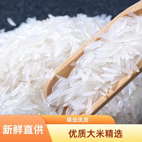 新米猫牙米象牙米长粒香米煲仔饭