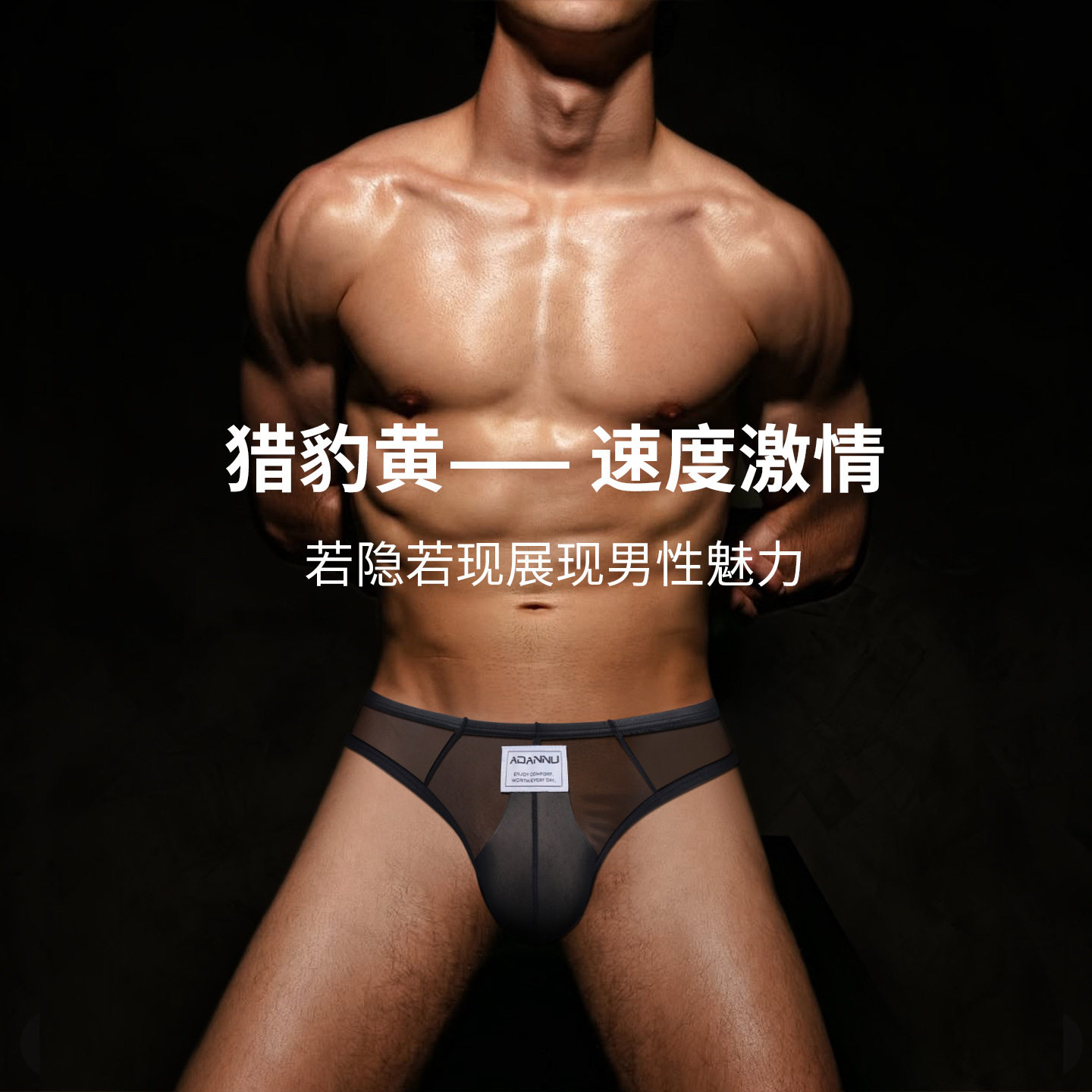 【ADANNU】透明性感豹纹网布男士三角裤运动派对透气超薄AD403