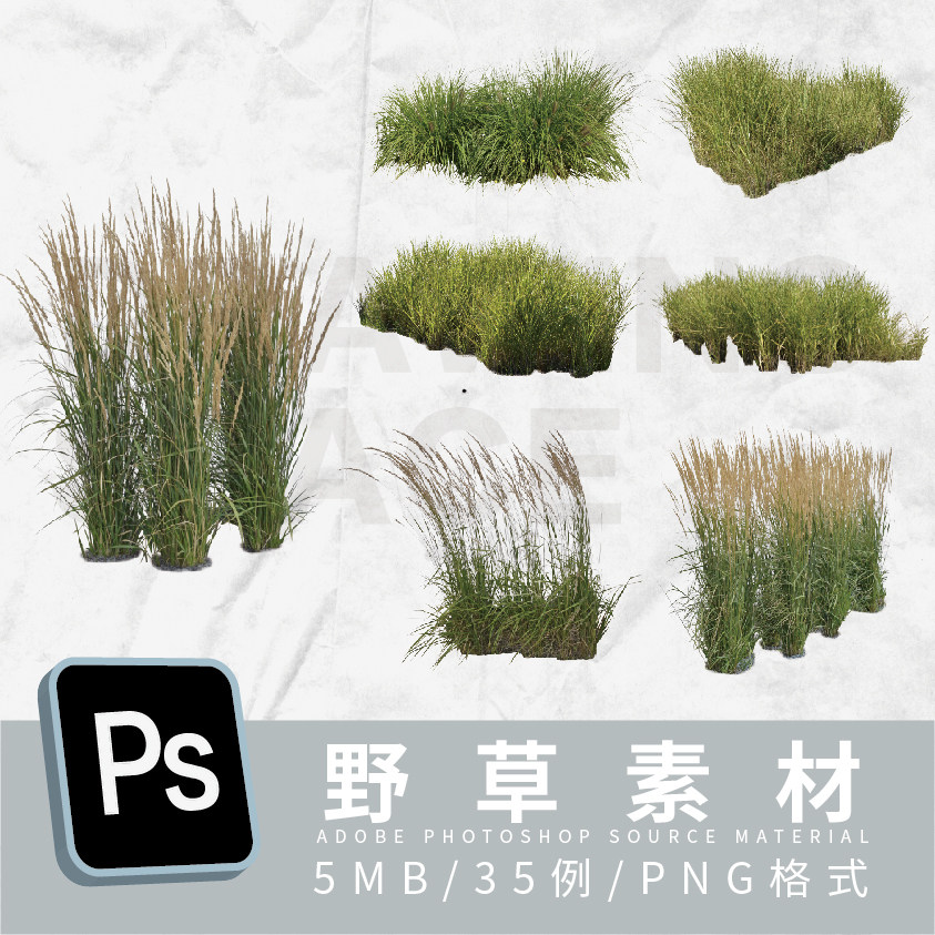 ps野草素材35例png格式