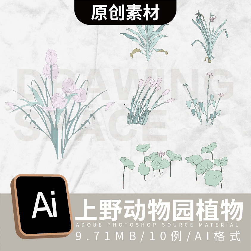 原创ai上野动物园同款素材植物10例ai格式