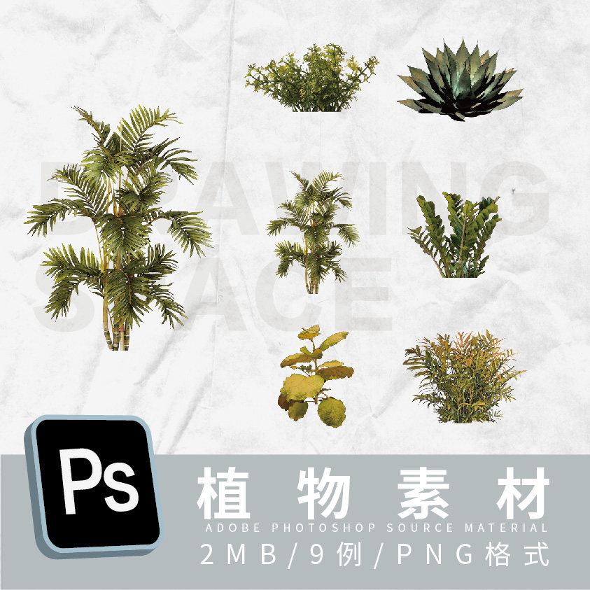 ps植物素材9例png格式