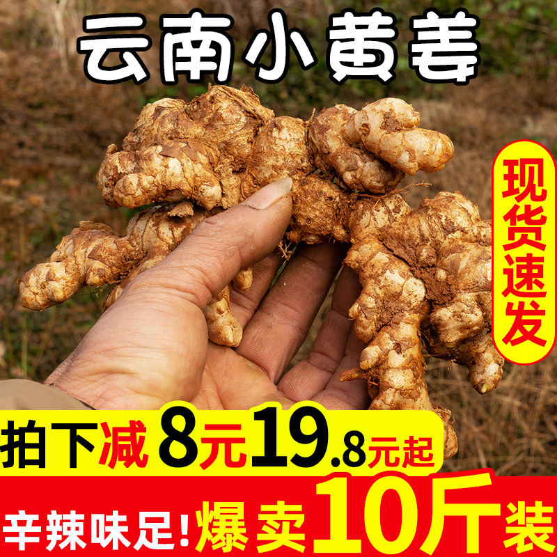 云南罗平新鲜小黄姜10斤装生姜当季现挖月子姜嫩仔姜老姜土姜包邮
