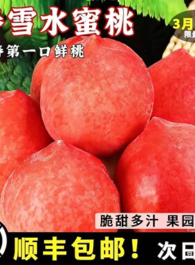 正宗春雪水蜜桃新鲜水果毛桃孕妇脆甜桃子当季毛桃整箱