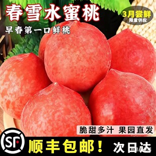 现货春雪毛桃水蜜桃新鲜水果孕妇脆甜冬桃子当季整箱顺丰