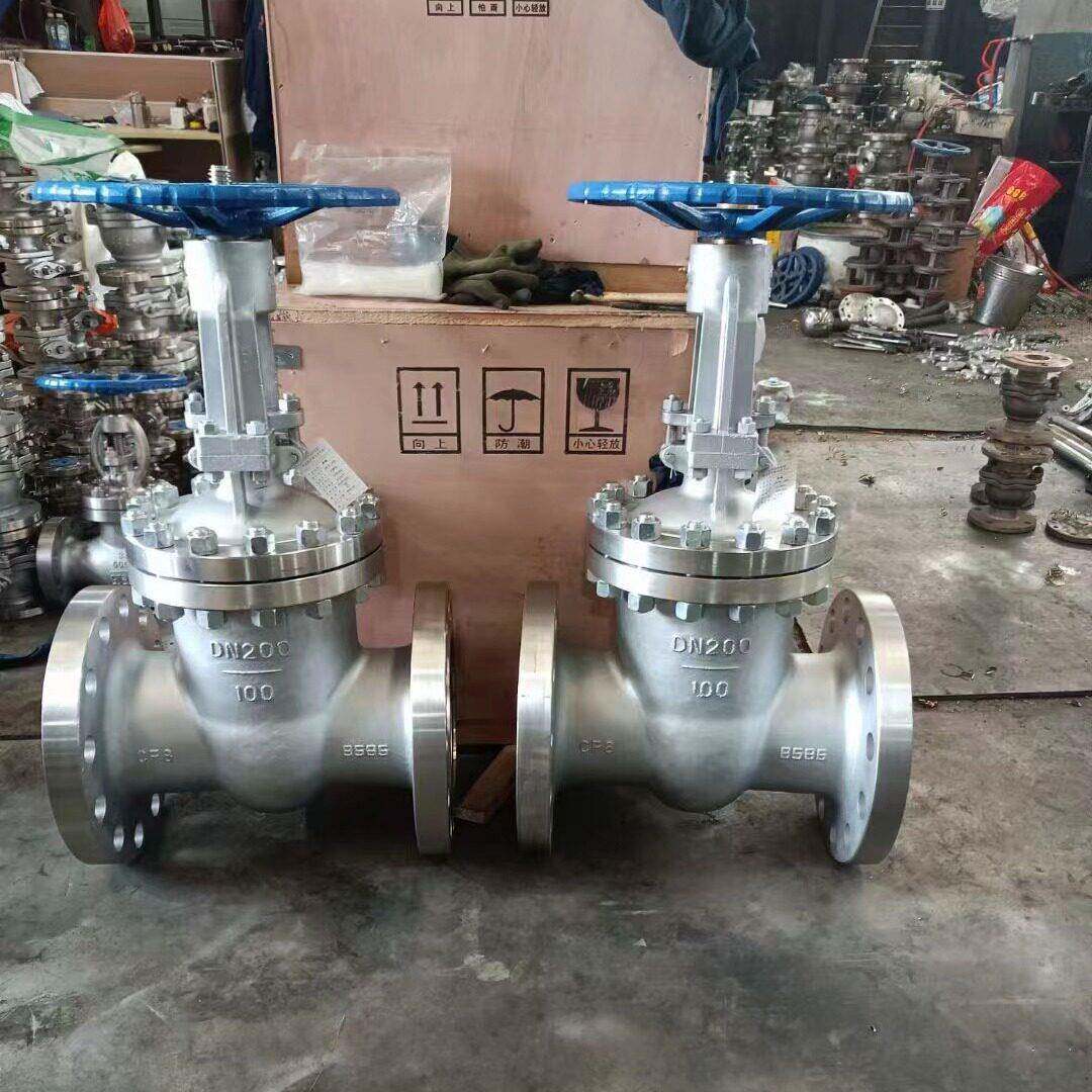 Z41Y-100P不锈钢耐磨法兰闸阀 Z41Y楔式闸板闸阀 304压法兰闸阀