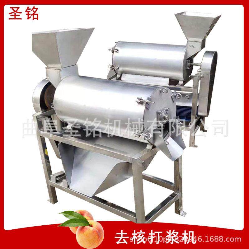 大型水果脱核机0.5吨山楂红毛丹去核打浆机罗望子酸角打浆机