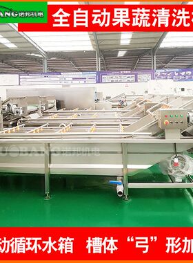 商用莼菜清洗机 气泡冲浪喷淋式马蹄菜清洗机全自动XYS-320洗菜机