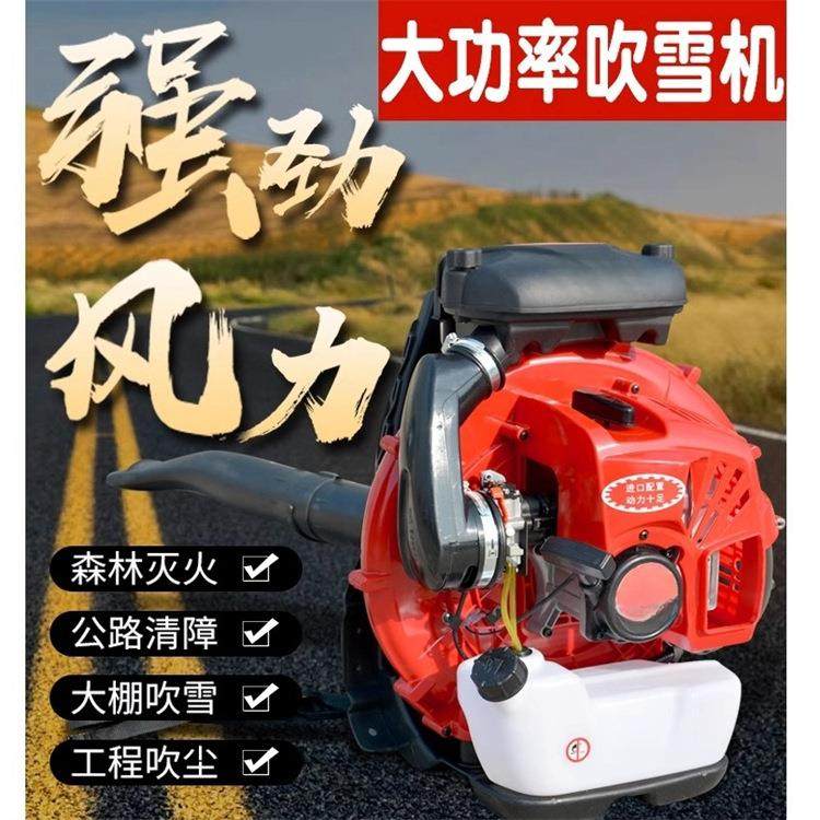 园林设备背负式吹风机风力灭火机园林落叶除尘器吹雪机生产厂家,农机/农具/农膜,林业机械,淘宝优惠券,粉丝福利购,淘宝优惠卷