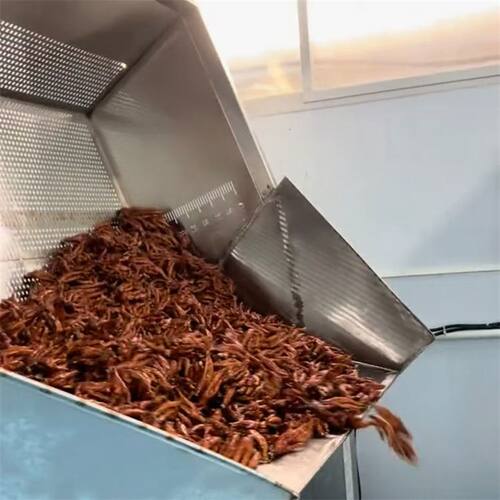虎皮鸡爪油炸锅 燃烧机烧天然气油炸锅大型 虎皮鸡爪加工配套设备