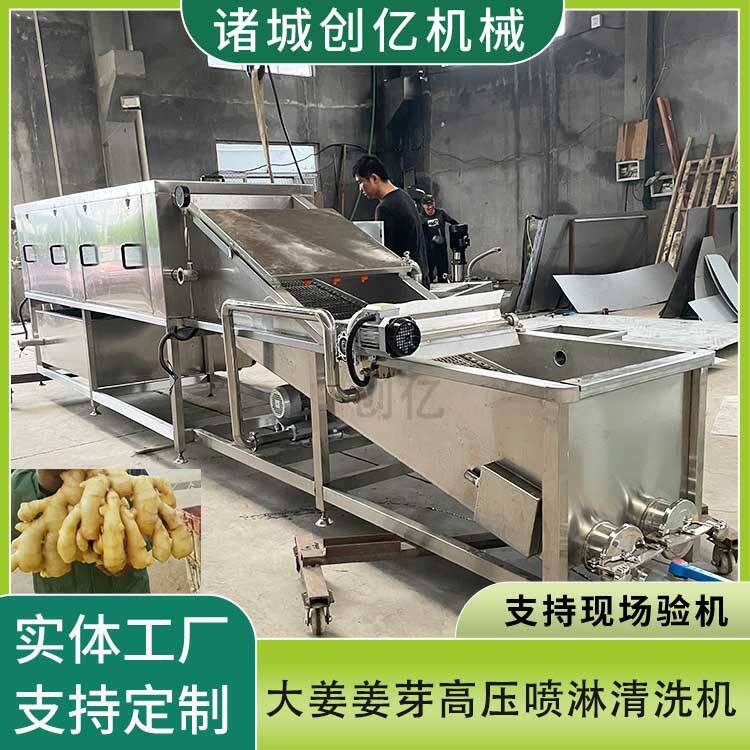 现货生姜清洗机 秋葵气泡喷淋清洗机自动提升 姜黄去泥清洗机设备