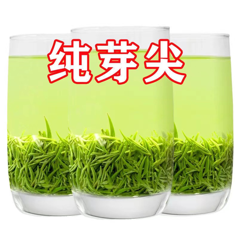 信阳毛尖茶茶叶2024明前春茶绿茶全芽尖新茶高山一级嫩芽浓香耐泡 茶 信阳毛尖 原图主图